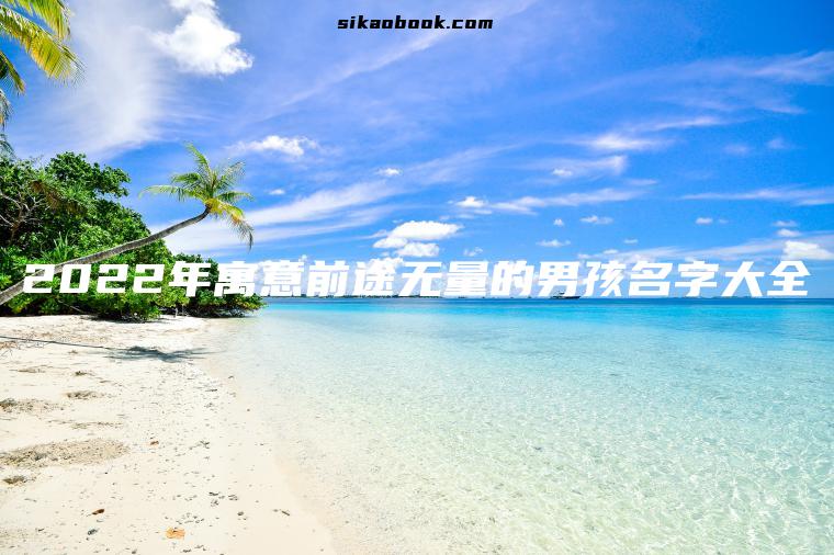 2022年寓意前途无量的男孩名字大全