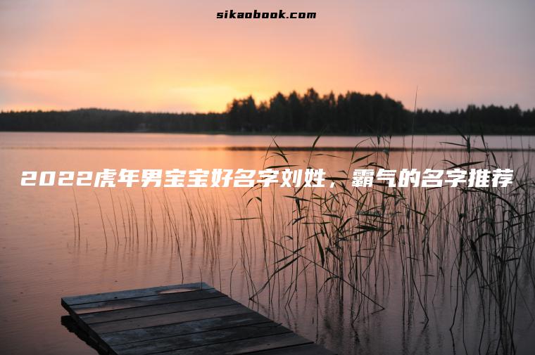 2022虎年男宝宝好名字刘姓，霸气的名字推荐