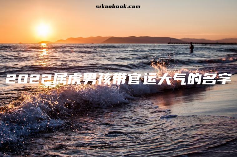 2022属虎男孩带官运大气的名字