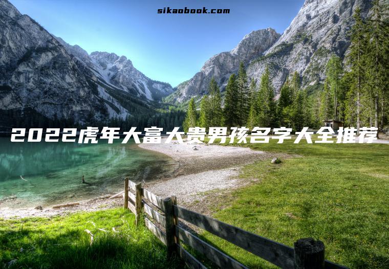 2022虎年大富大贵男孩名字大全推荐