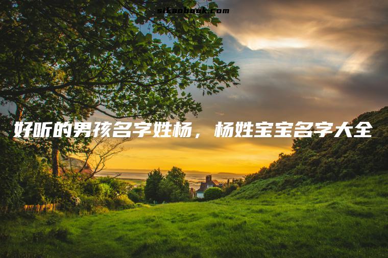好听的男孩名字姓杨，杨姓宝宝名字大全