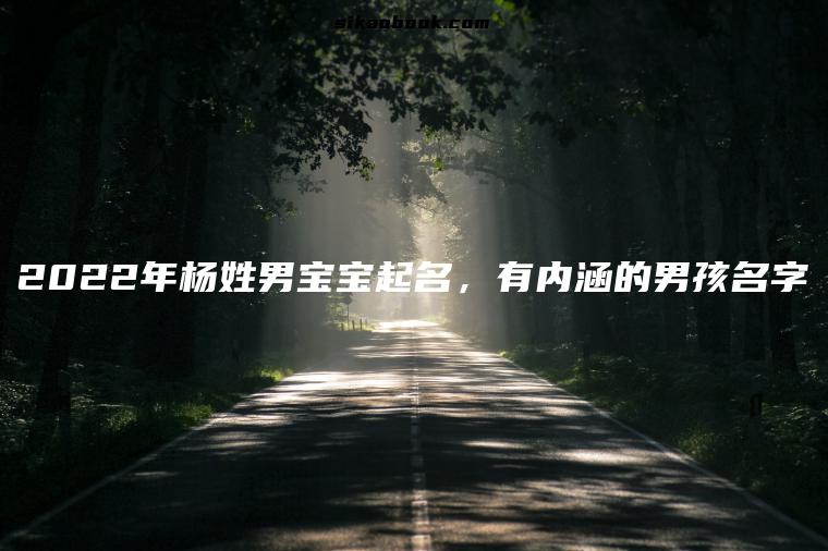 2022年杨姓男宝宝起名，有内涵的男孩名字