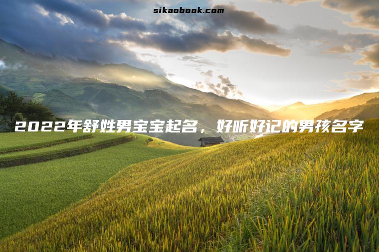 2022年舒姓男宝宝起名，好听好记的男孩名字