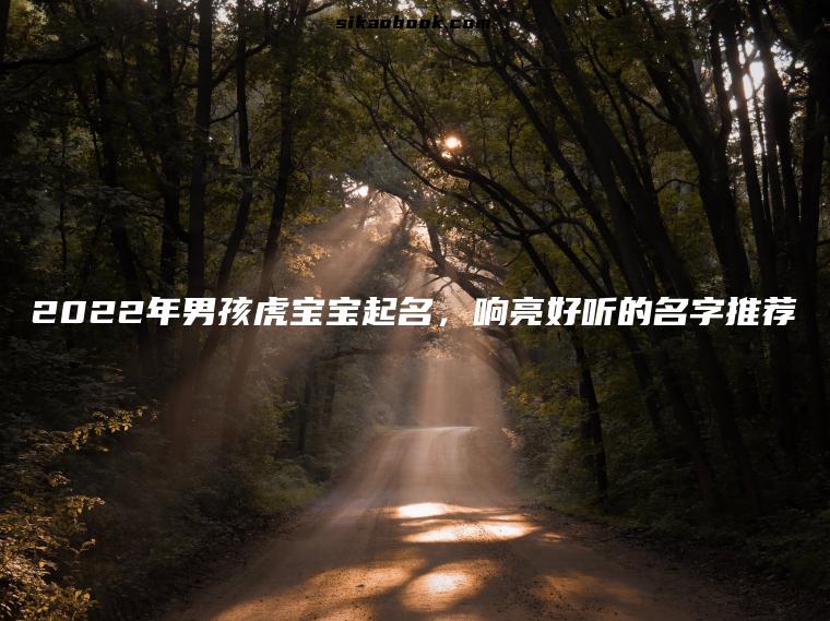 2022年男孩虎宝宝起名，响亮好听的名字推荐