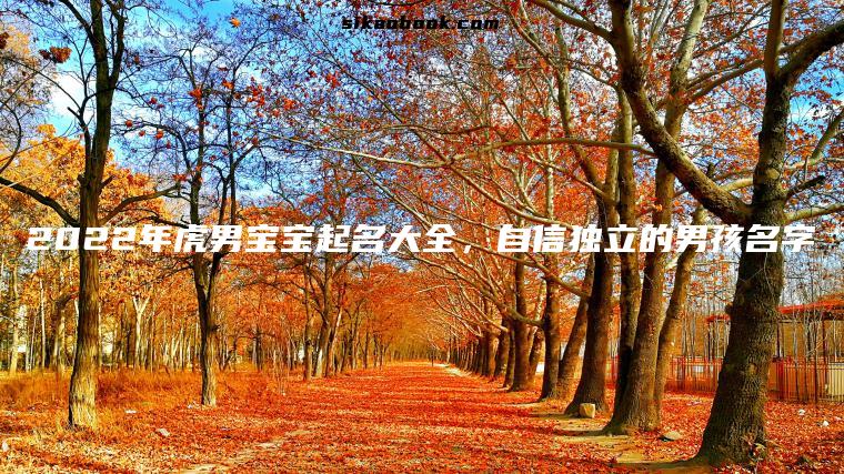2022年虎男宝宝起名大全，自信独立的男孩名字