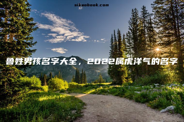 鲁姓男孩名字大全，2022属虎洋气的名字