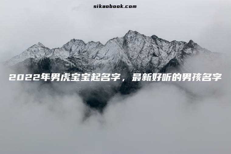 2022年男虎宝宝起名字，最新好听的男孩名字