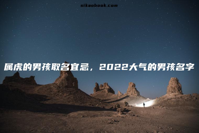 属虎的男孩取名宜忌，2022大气的男孩名字