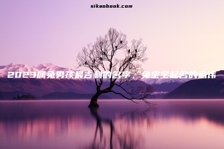 2023属兔男孩最吉利的名字，兔宝宝起名的忌讳