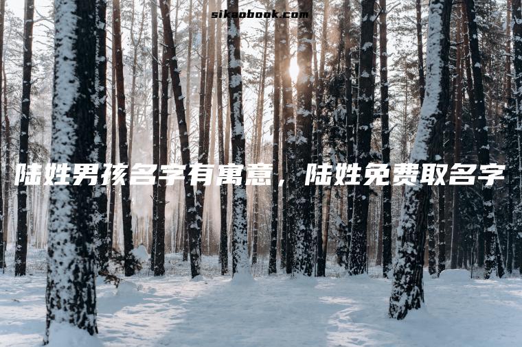 陆姓男孩名字有寓意，陆姓免费取名字