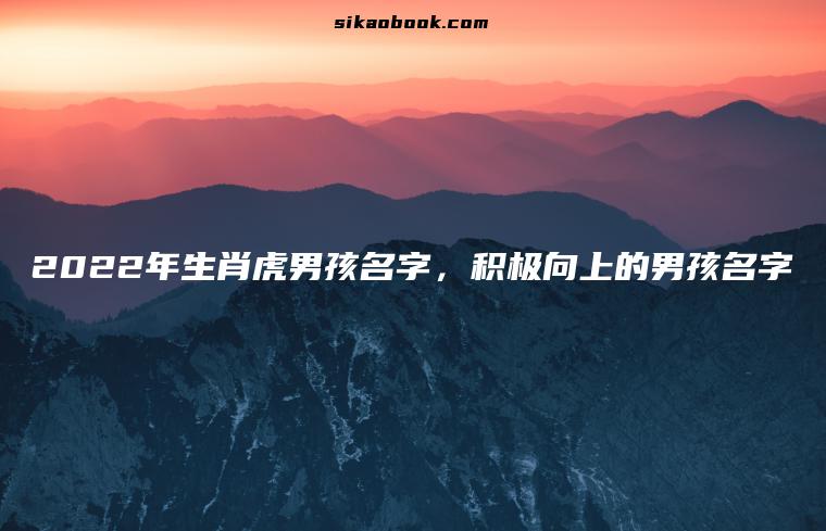 2022年生肖虎男孩名字，积极向上的男孩名字