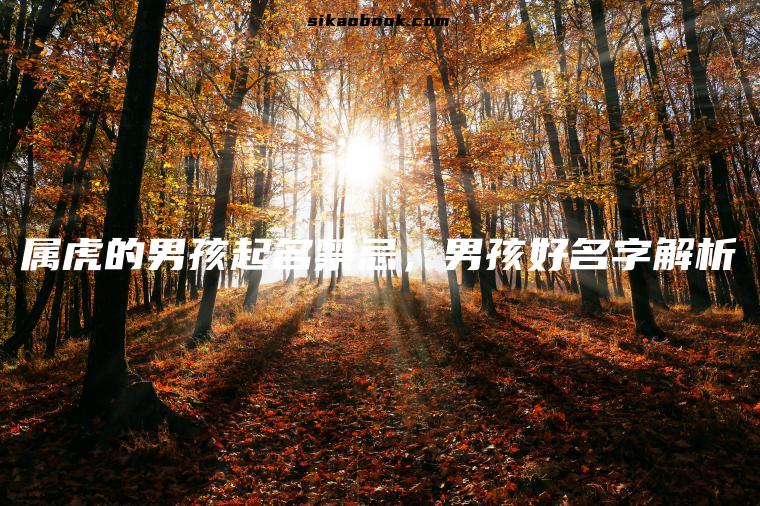 属虎的男孩起名禁忌，男孩好名字解析