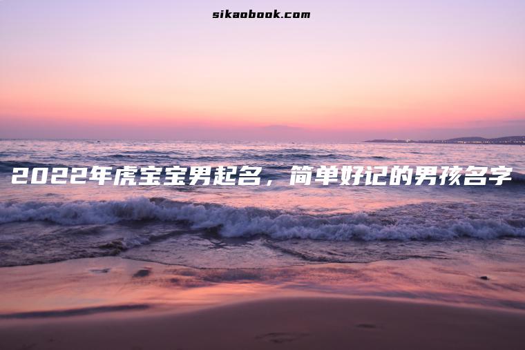 2022年虎宝宝男起名，简单好记的男孩名字