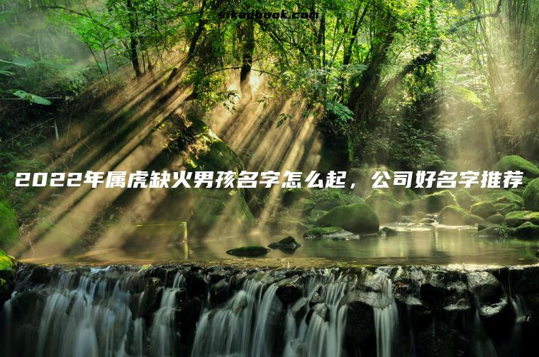 2022年属虎缺火男孩名字怎么起，公司好名字推荐
