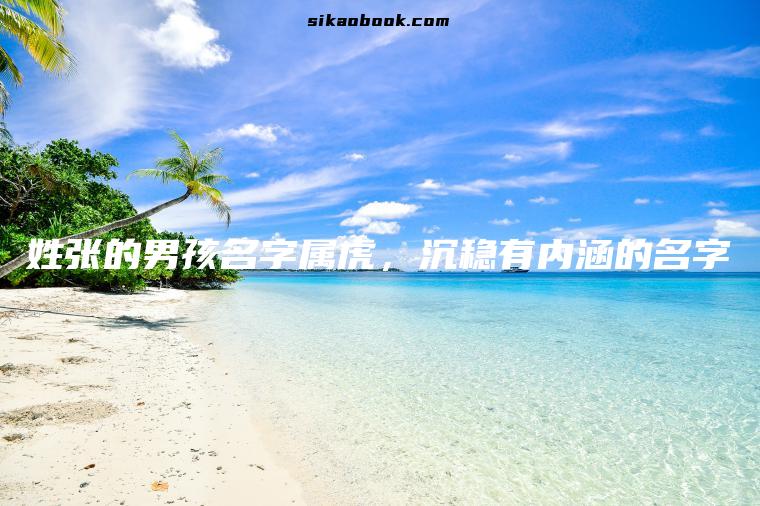 姓张的男孩名字属虎，沉稳有内涵的名字
