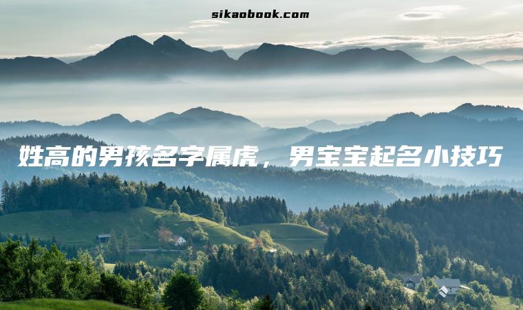 姓高的男孩名字属虎，男宝宝起名小技巧