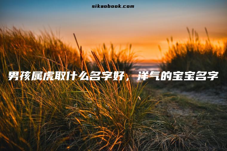 男孩属虎取什么名字好，洋气的宝宝名字