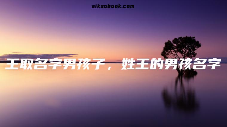 王取名字男孩子，姓王的男孩名字