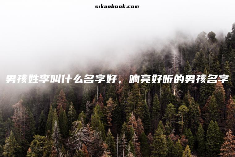 男孩姓李叫什么名字好，响亮好听的男孩名字