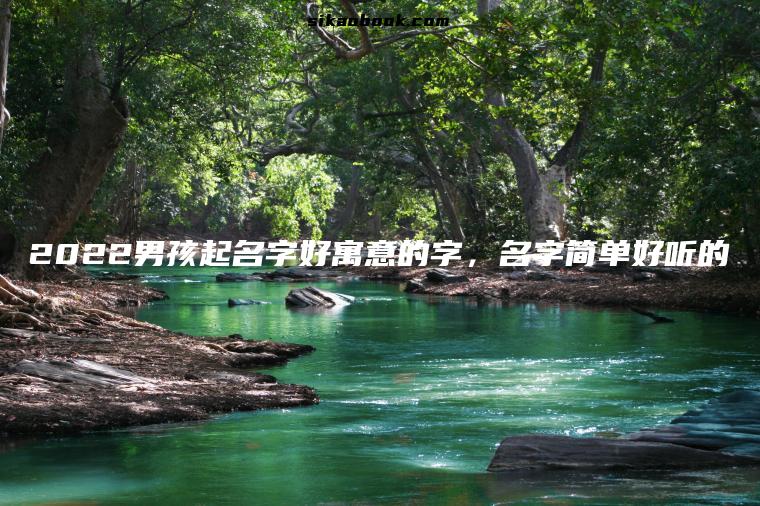 2022男孩起名字好寓意的字，名字简单好听的