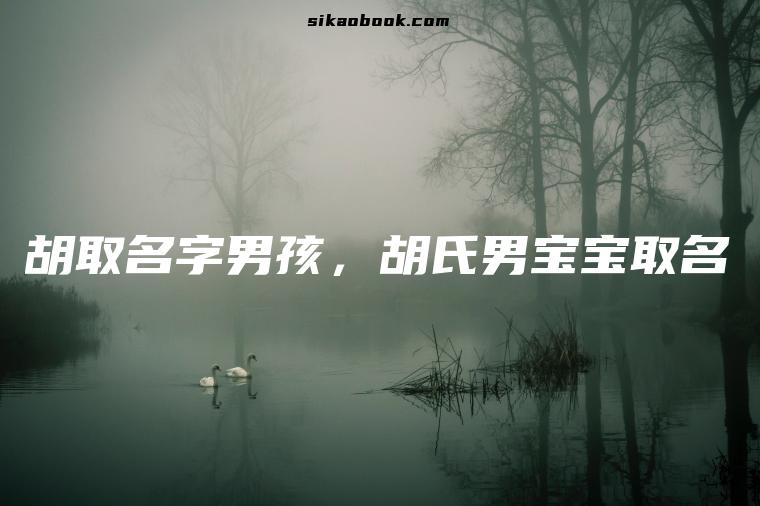 胡取名字男孩，胡氏男宝宝取名