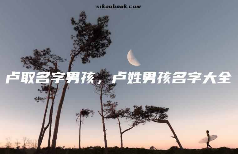 卢取名字男孩，卢姓男孩名字大全