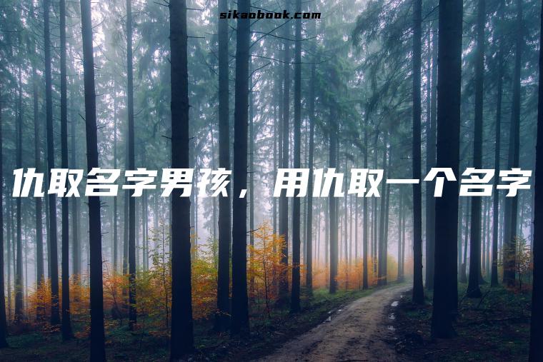仇取名字男孩，用仇取一个名字