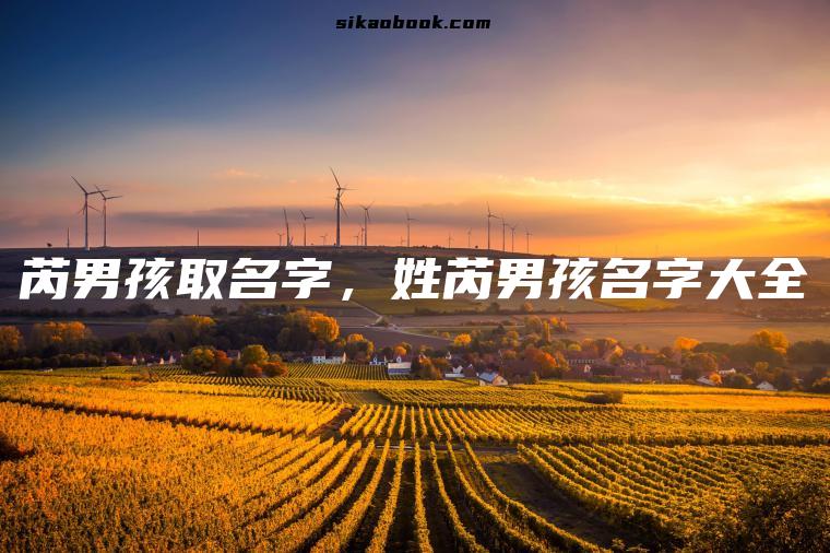 芮男孩取名字，姓芮男孩名字大全
