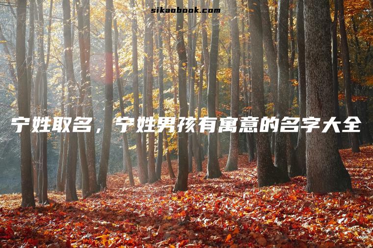 宁姓取名，宁姓男孩有寓意的名字大全