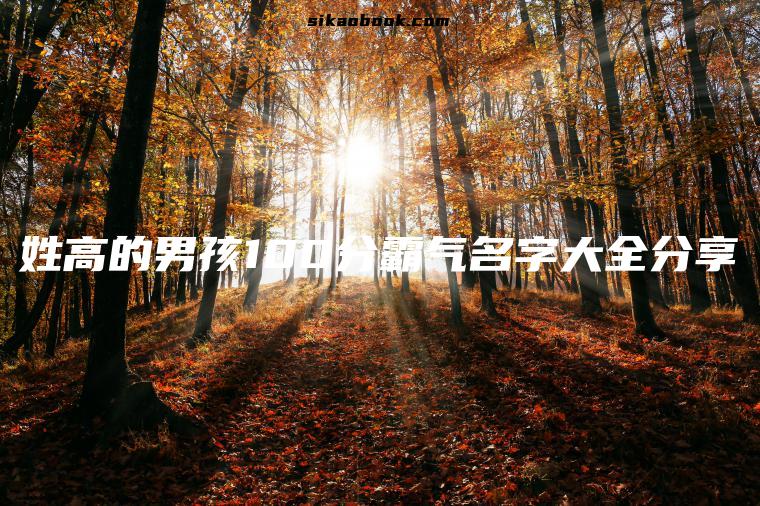 姓高的男孩100分霸气名字大全分享