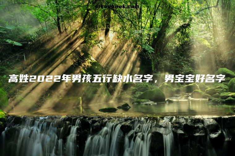 高姓2022年男孩五行缺水名字，男宝宝好名字