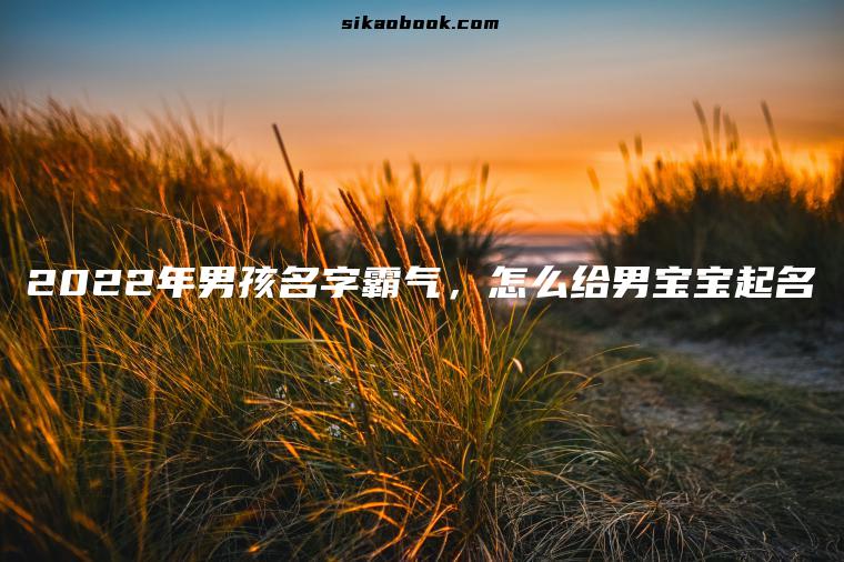 2022年男孩名字霸气，怎么给男宝宝起名
