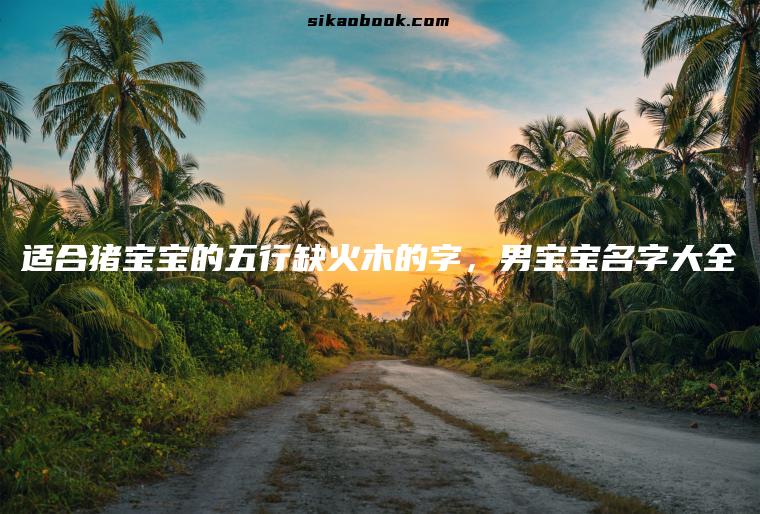 适合猪宝宝的五行缺火木的字，男宝宝名字大全