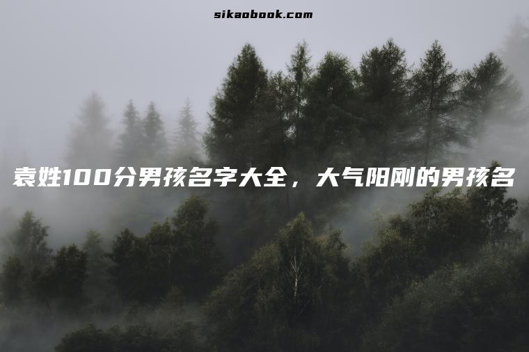 袁姓100分男孩名字大全，大气阳刚的男孩名