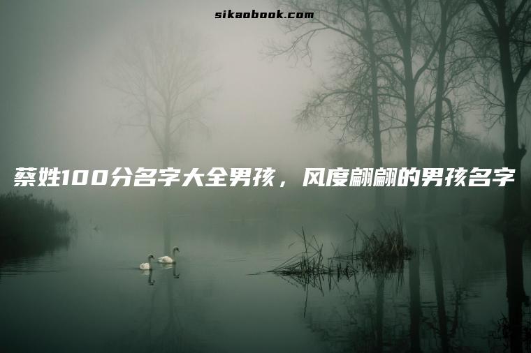 蔡姓100分名字大全男孩，风度翩翩的男孩名字
