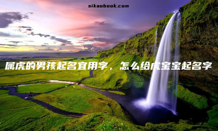 属虎的男孩起名宜用字，怎么给虎宝宝起名字