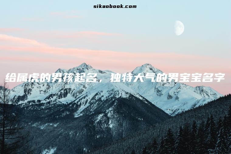 给属虎的男孩起名，独特大气的男宝宝名字
