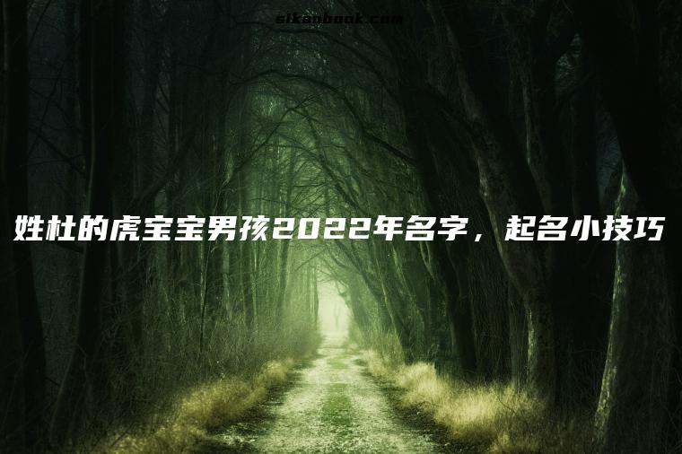姓杜的虎宝宝男孩2022年名字，起名小技巧