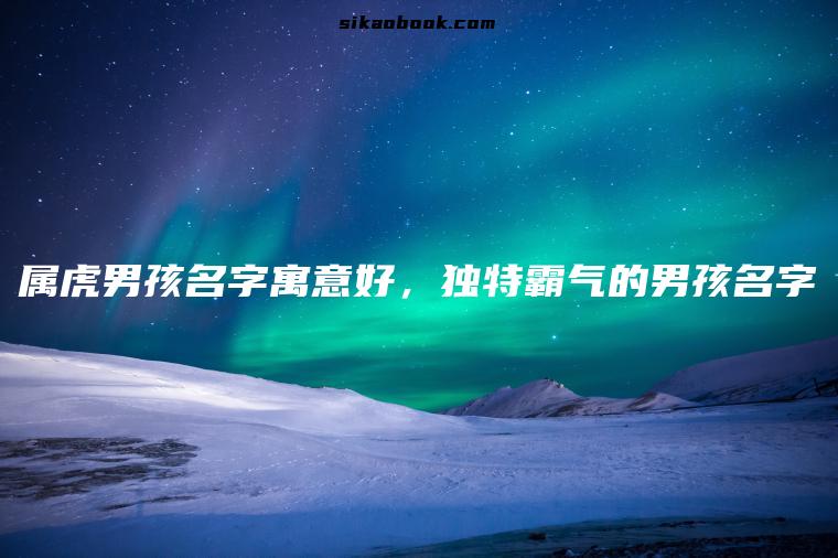 属虎男孩名字寓意好，独特霸气的男孩名字