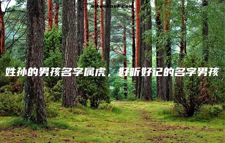姓孙的男孩名字属虎，好听好记的名字男孩