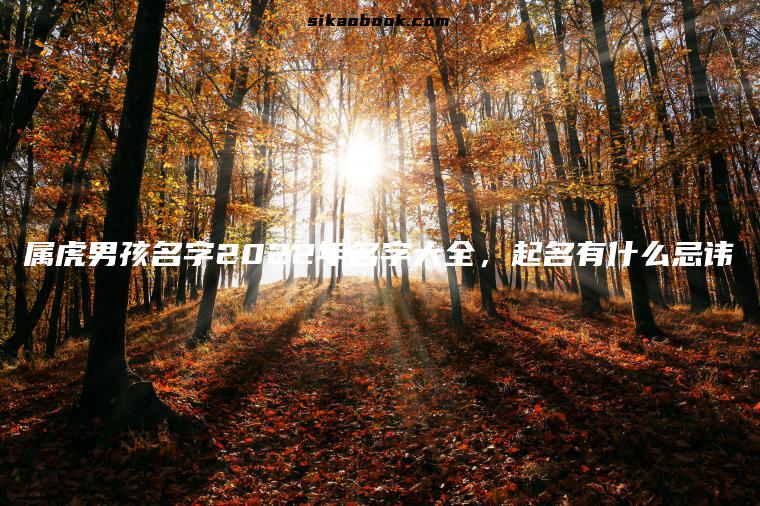 属虎男孩名字2022年名字大全，起名有什么忌讳