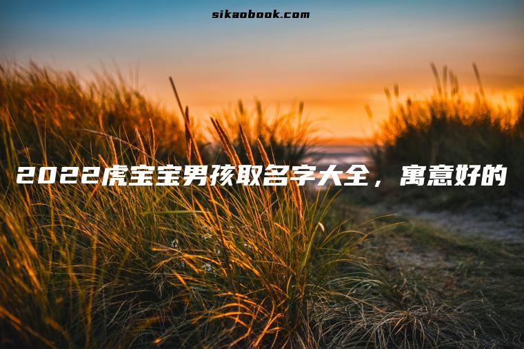 2022虎宝宝男孩取名字大全，寓意好的
