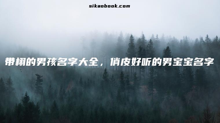 带栩的男孩名字大全，俏皮好听的男宝宝名字