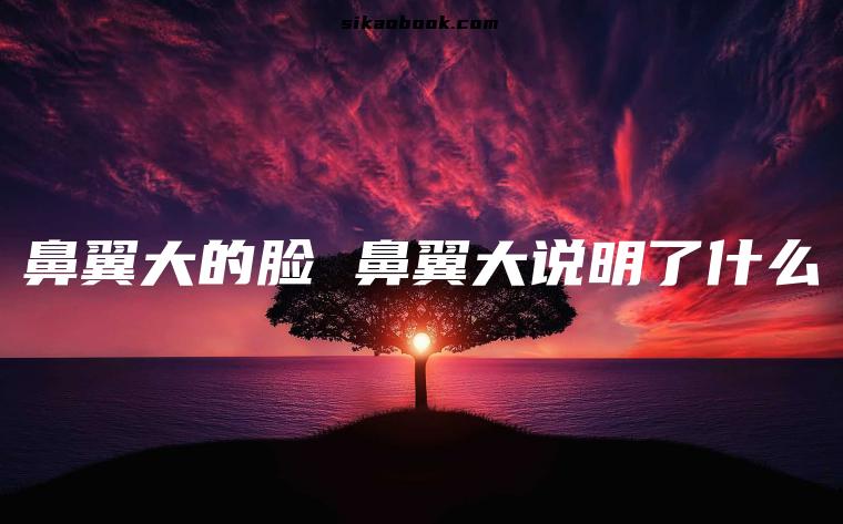 鼻翼大的脸 鼻翼大说明了什么