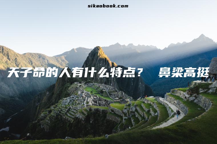 天子命的人有什么特点？ 鼻梁高挺