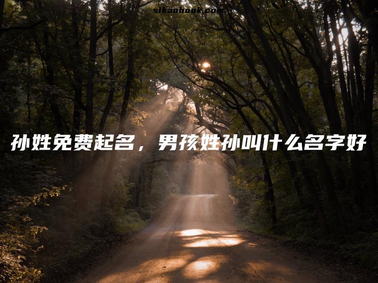 孙姓免费起名，男孩姓孙叫什么名字好