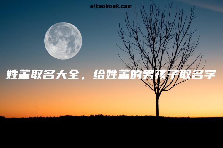 姓董取名大全，给姓董的男孩子取名字