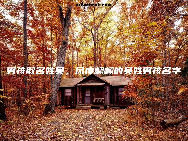 男孩取名姓吴，风度翩翩的吴姓男孩名字