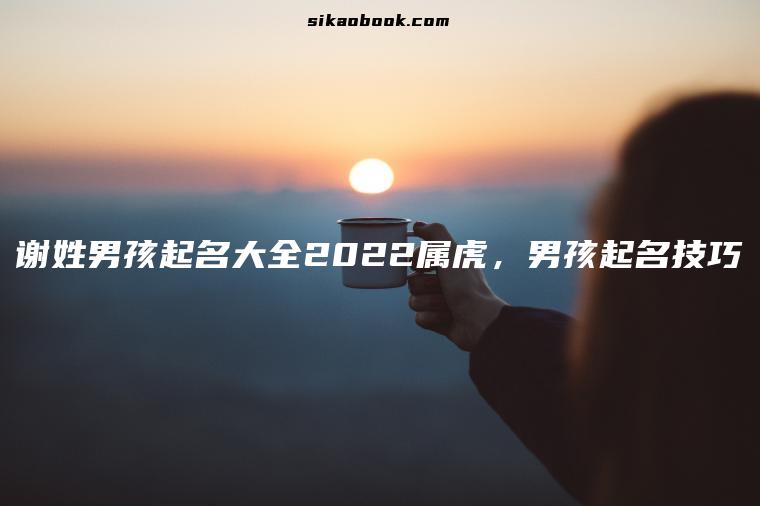 谢姓男孩起名大全2022属虎，男孩起名技巧