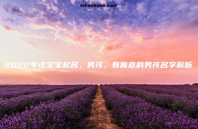 2022年虎宝宝起名，男孩，有寓意的男孩名字解析